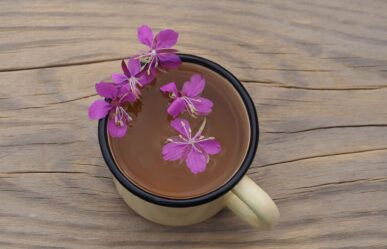 kisvirágú füzike tea egy bögrében