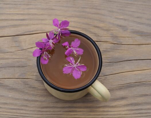 kisvirágú füzike tea egy bögrében