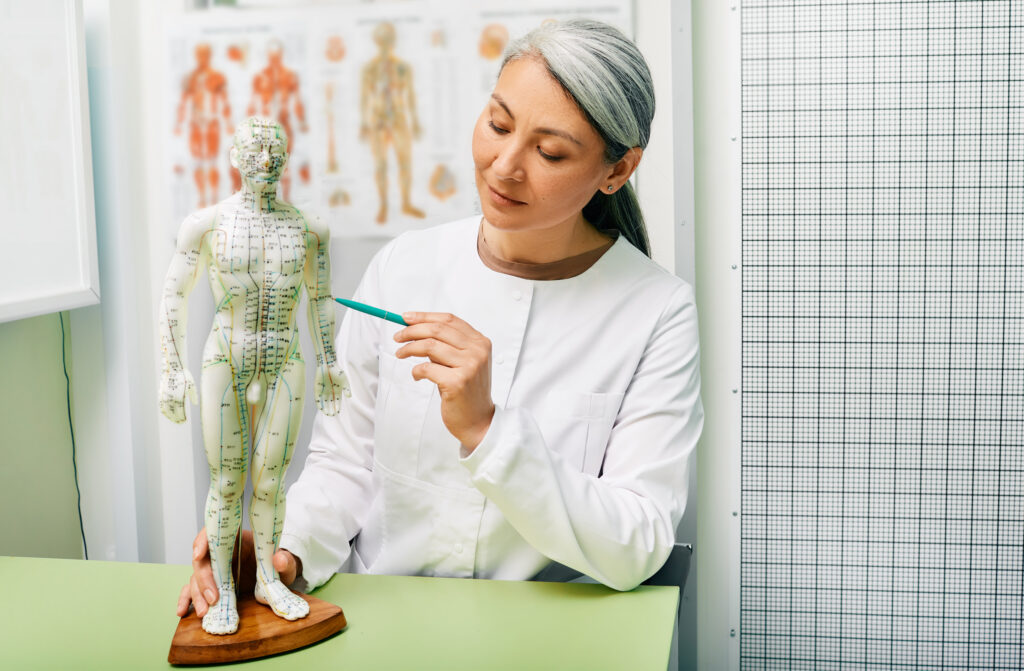 Érett női akupunktúra szakember, a hagyományos kínai orvos szakértője, aki pontokat mutat az emberi test akupunktúrás modelljében