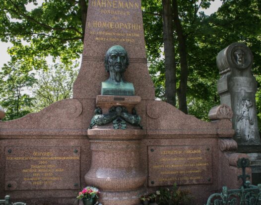 Hahnemann, homeopátia