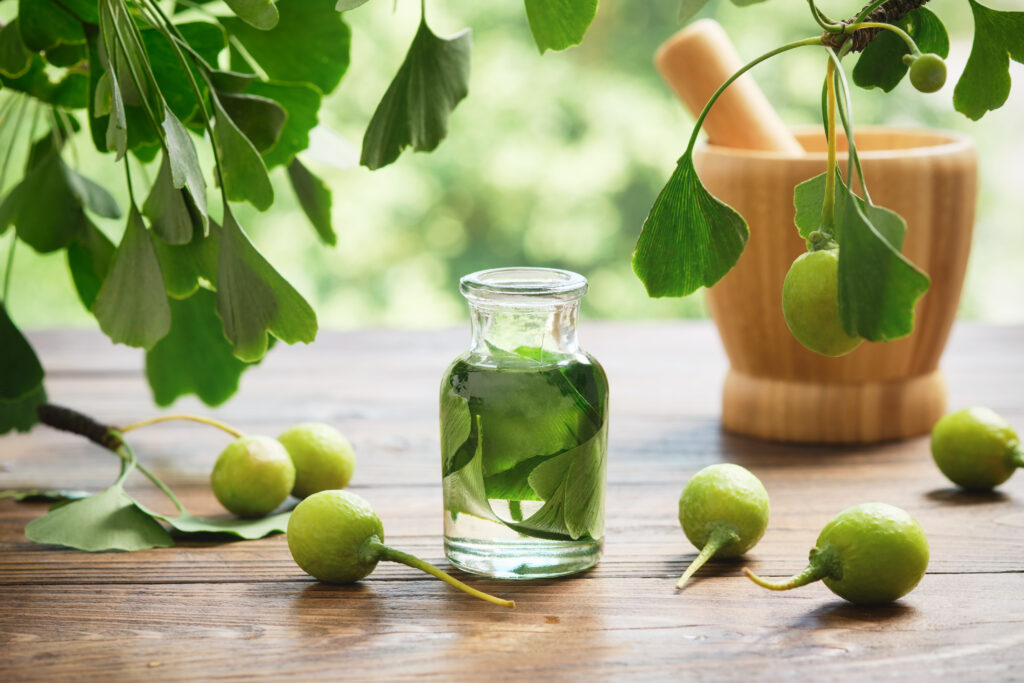Ginkgo biloba illóolaj vagy szérum, levelek és ginkgo gyümölcsök a fa asztalon a szabadban