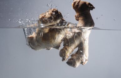 Gyömbér az étlapon