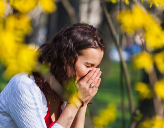 nátha, allergia, pollen, nő