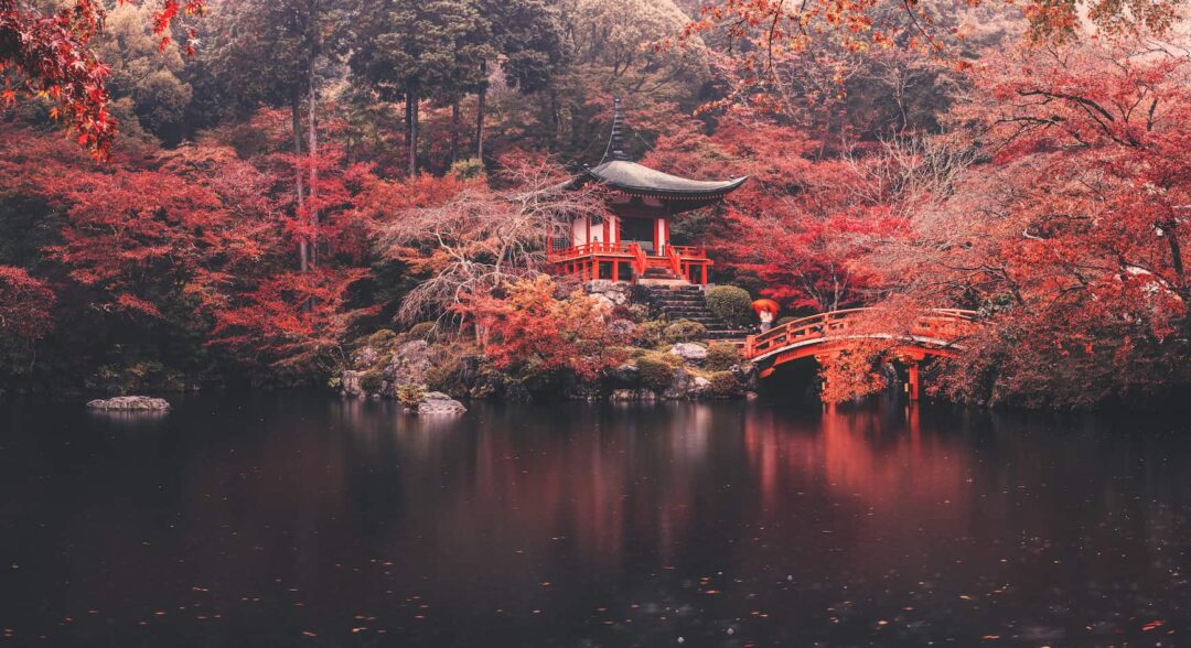 japán virágos táj