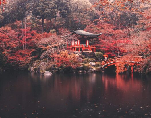 japán virágos táj