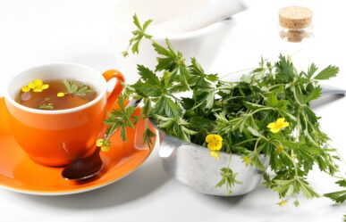 Vérontófű (Potentilla erecta) gyógyhatásai