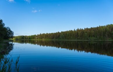 Álomfejtés: Tiszta tudat