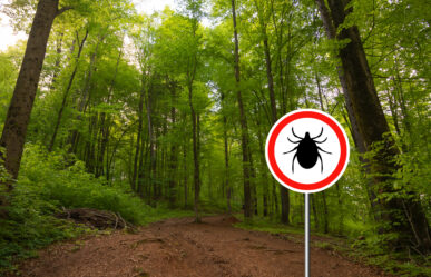 Vigyázat! Lyme-kór veszély!