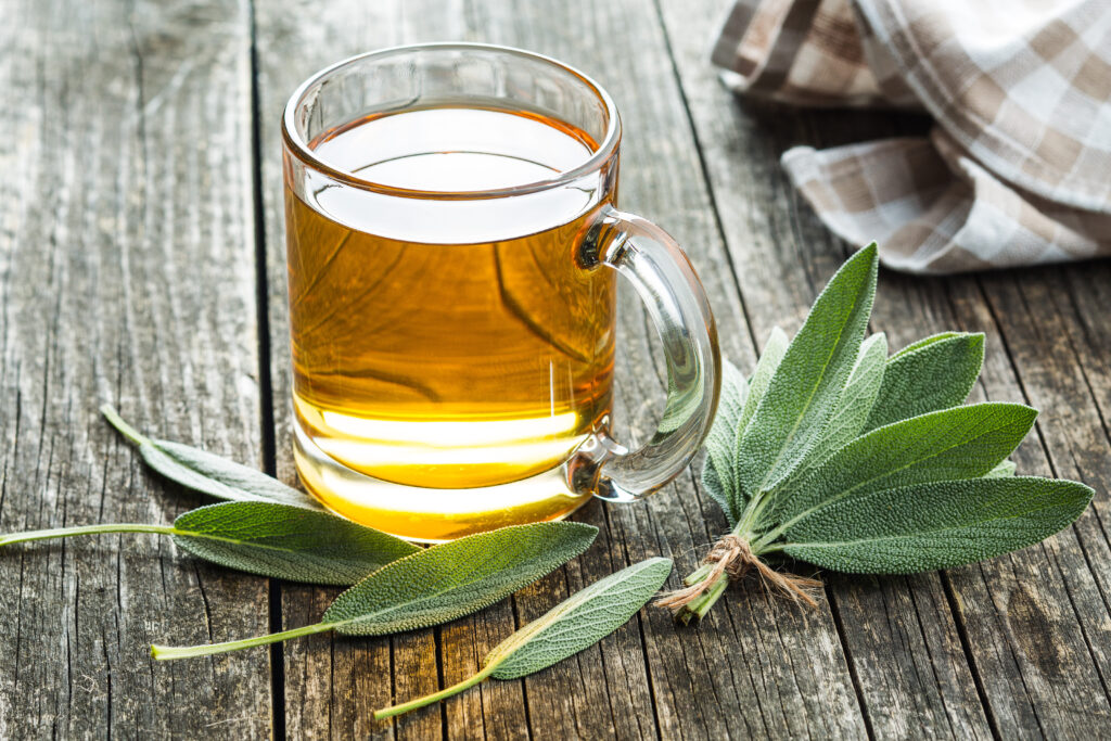 Orvosi zsálya tea és növény.