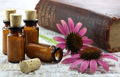 Immunrendszer  6. rész – Echinacea