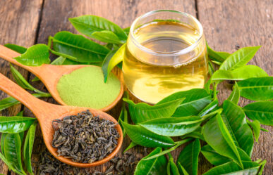 Zöld tea a csodanövény