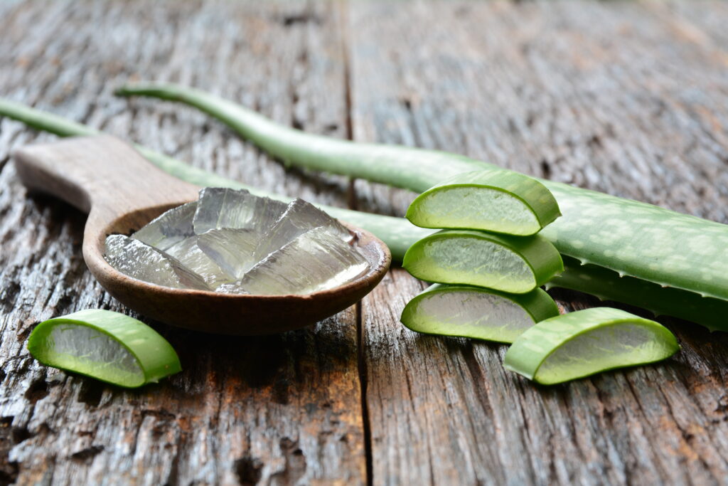 Aloe vera növény felszeletelve és gél egy fa háttér előtt.
