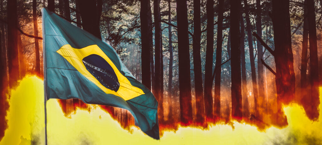 Dúló fenyőerdőtűz a brazil zászlóval az előtérben