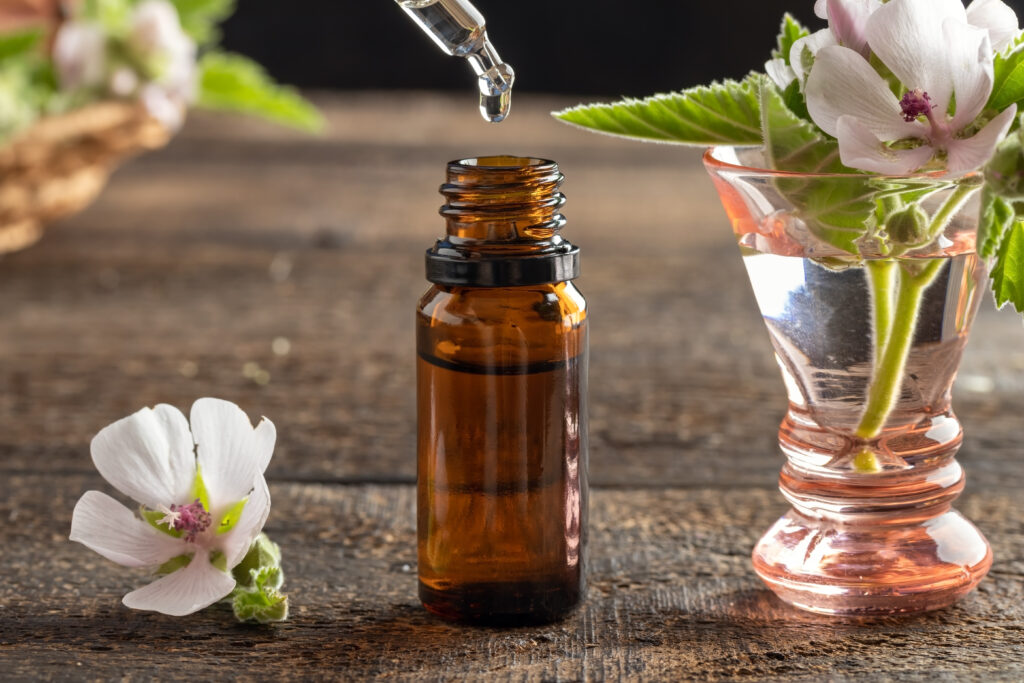 Gyógynövény-tinktúra csepegtetése egy üvegbe, friss mályvával vagy gyógymályva (Althaea officinalis) virágaival.