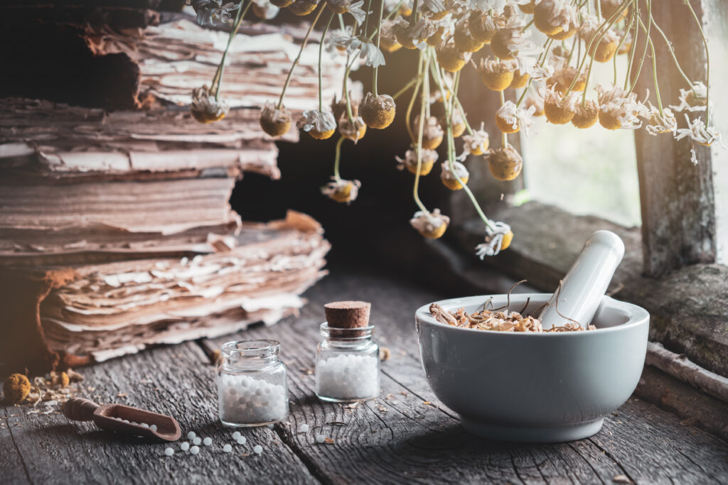 Szárított gyógynövények mozsárja, homeopátiás golyócskák üvegeiben, régi könyvek és egy csokor száraz kamillanövény. Homeopátiás gyógyszer.
