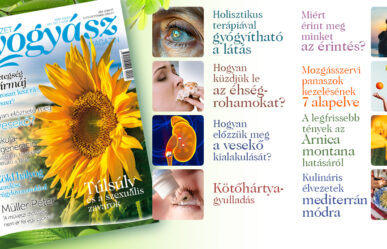 Érdekes ízelítők a Természetgyógyász Magazin júliusi számából