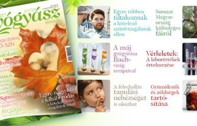 Megjelent a magazin szeptemberi száma!