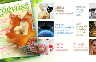 Érdekes cikkek a szeptemberi magazin tartalmából