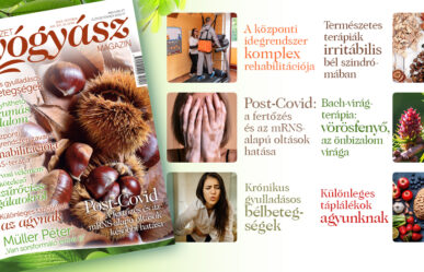 Érdekes cikkek az októberi magazin tartalmából