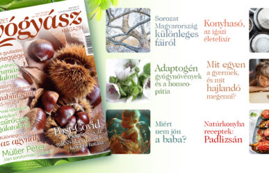 Már csak pár napig kapható a magazin októberi száma- Tovább szemezgetünk a tartalmából