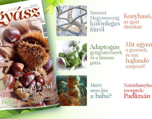 Természetgyógyász Magazin októberi ajánló