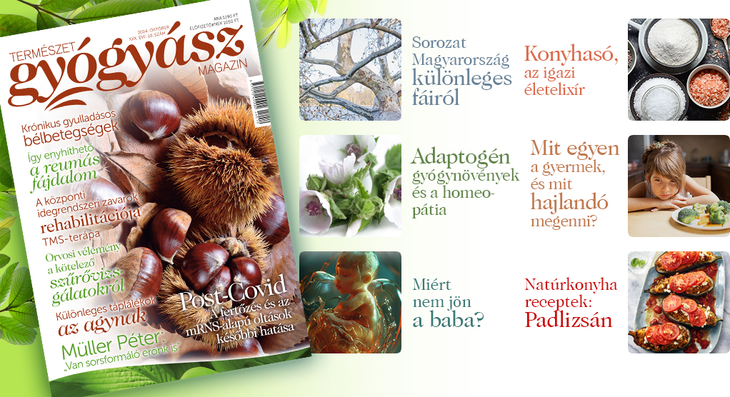 Természetgyógyász Magazin októberi ajánló