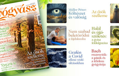 Megjelent a magazin novemberi száma! Ízelítő a tartalomból