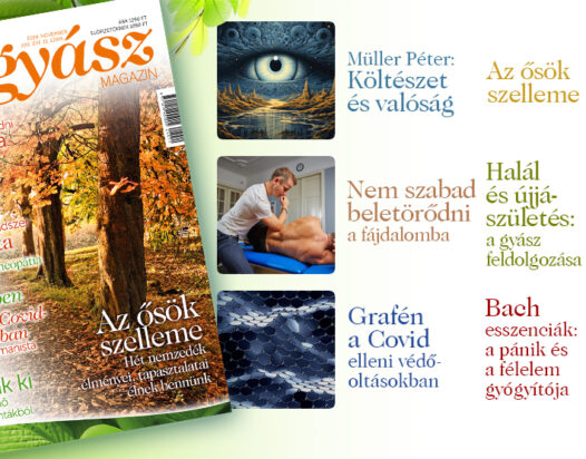 Természetgyógyász Magazin novemberi szám ajánló