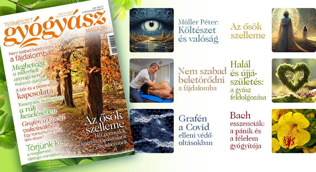 Természetgyógyász Magazin novemberi szám ajánló
