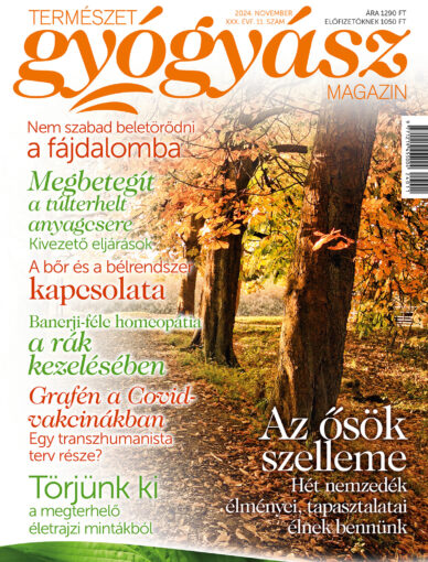 Természetgyógyász Magazin novemberi szám