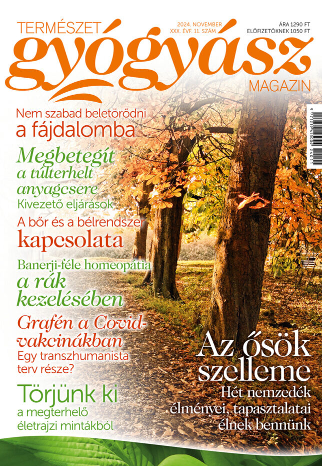 Természetgyógyász Magazin novemberi szám