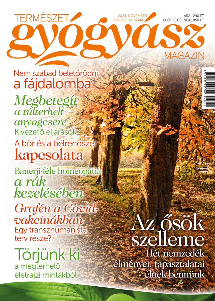 Természetgyógyász Magazin novemberi szám