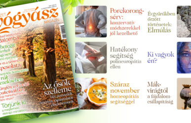 Természetgyógyász Magazin novemberi száma