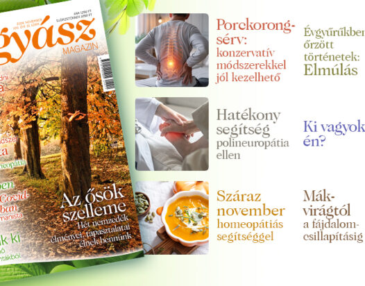 Természetgyógyász Magazin novemberi száma