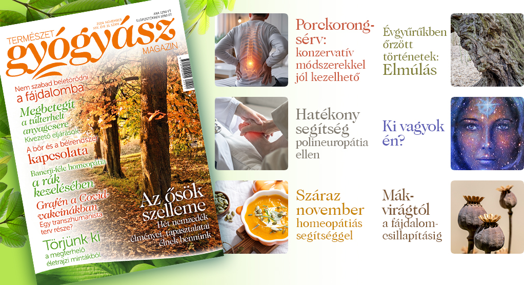 Természetgyógyász Magazin novemberi száma