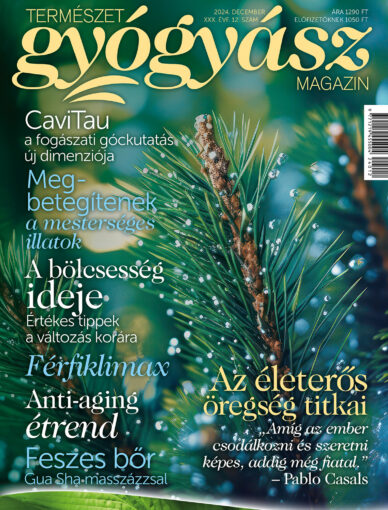 Természetgyógyász Magazin decemberi lapszáma