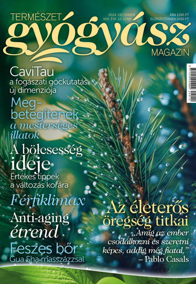 Természetgyógyász Magazin decemberi lapszáma