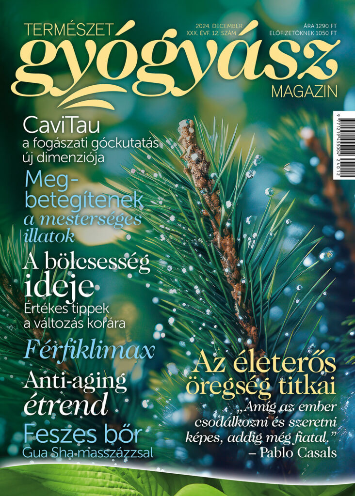 Természetgyógyász Magazin decemberi lapszáma