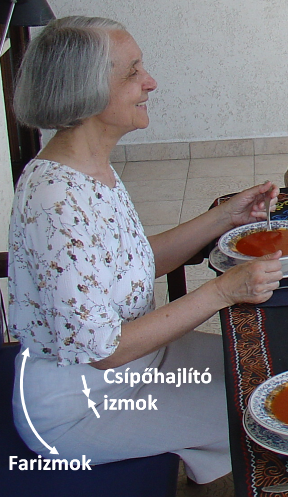 Ülő helyzetben a csípőhajlító izmok sokkal rövidebbek, mint a farizmok. Akkor is, ha ilyen szépen ül az ember