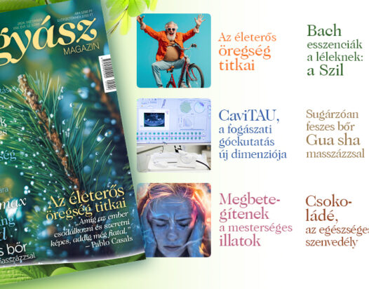 Természetgyógyász Magazin decemberi száma