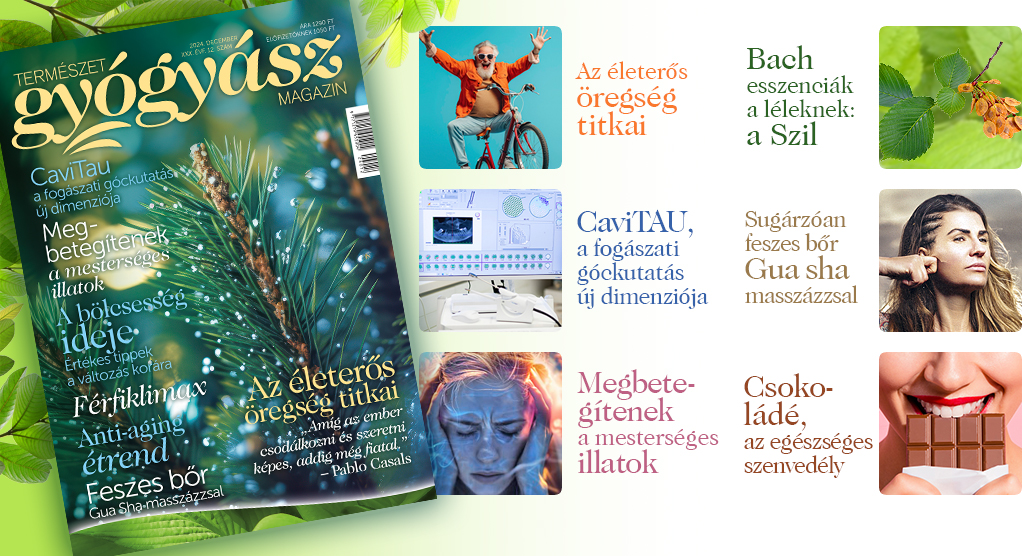 Természetgyógyász Magazin decemberi száma