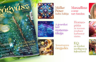 Természetgyógyász Magazin decemberi lapszáma