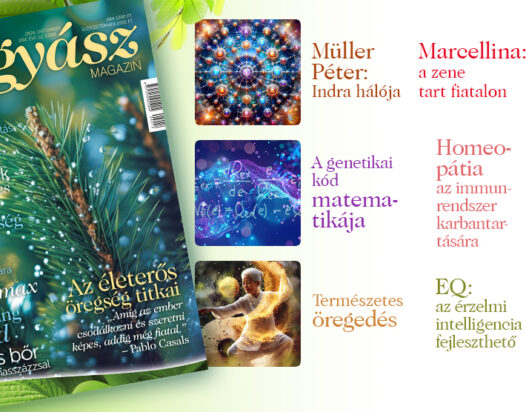 Természetgyógyász Magazin decemberi lapszáma