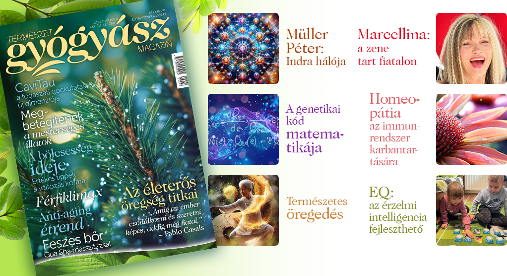 Természetgyógyász Magazin decemberi lapszáma