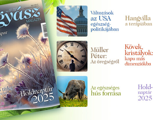 Természetgyógyász Magazin januári száma