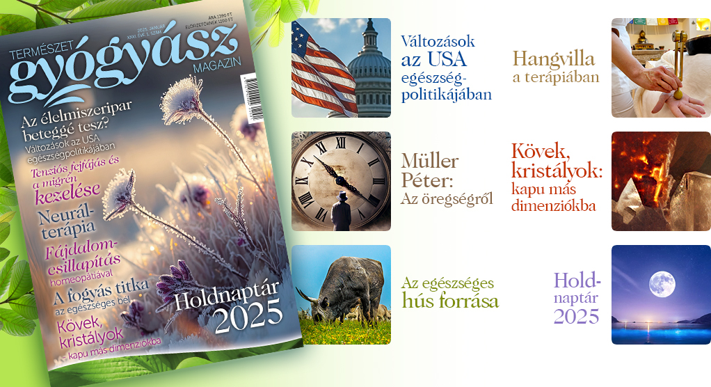 Természetgyógyász Magazin januári száma