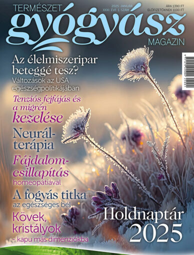 Természetgyógyász Magazin januári szám