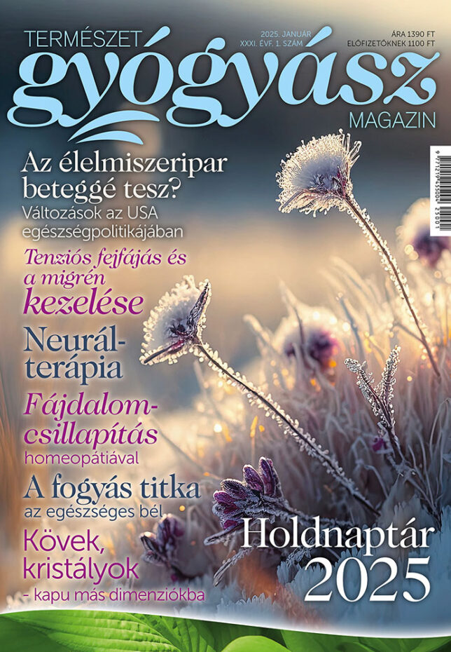 Természetgyógyász Magazin januári szám