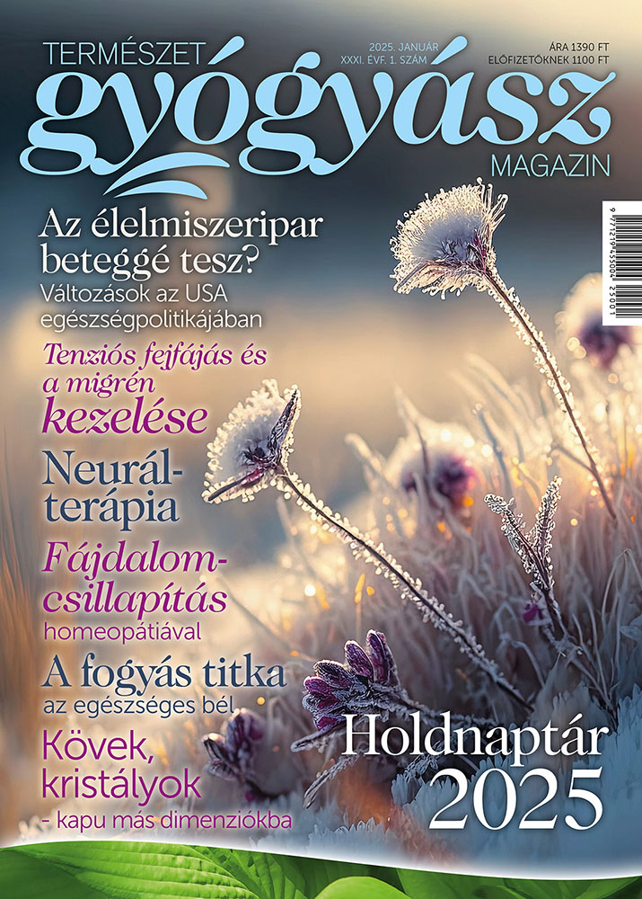 Természetgyógyász Magazin januári szám