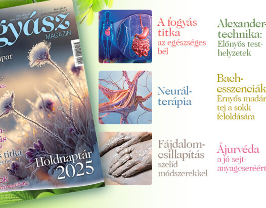 Természetgyógyász Magazin januári száma